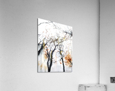 Autumn tree Acrylic Print