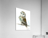 Owl on a branch Acrylic Print