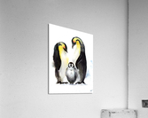 Penguin family Acrylic Print