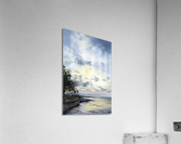 Tree on the shore Acrylic Print