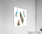 Four fethers Acrylic Print