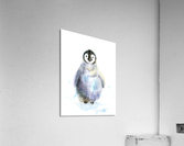 Baby penguin Acrylic Print