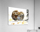 Owl Family Acrylic Print