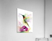HUMMINGBIRD and FLOWER Acrylic Print