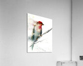 Red Grey Bird Acrylic Print