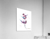 Pink Birds Acrylic Print