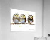 Three Owls Acrylic Print