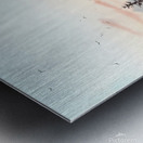 Vanilla Sky 2 Metal print