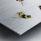 bumblebees Metal print