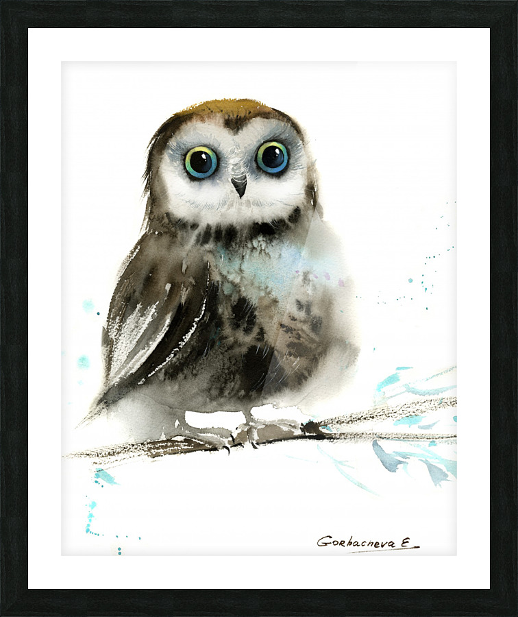 Little owl on a branch 4 Picture Frame print
