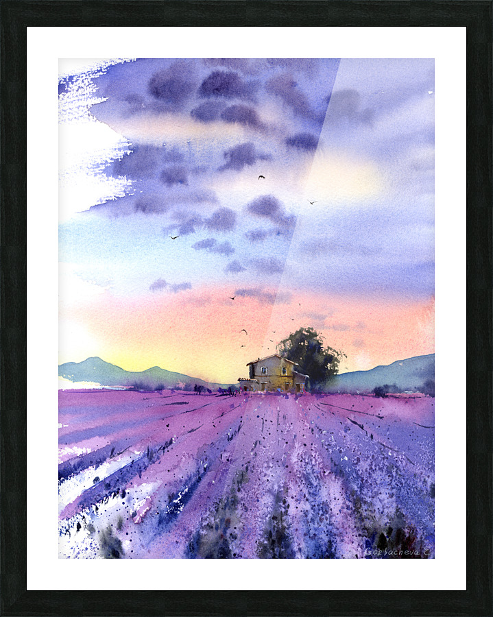 Lavender field Picture Frame print