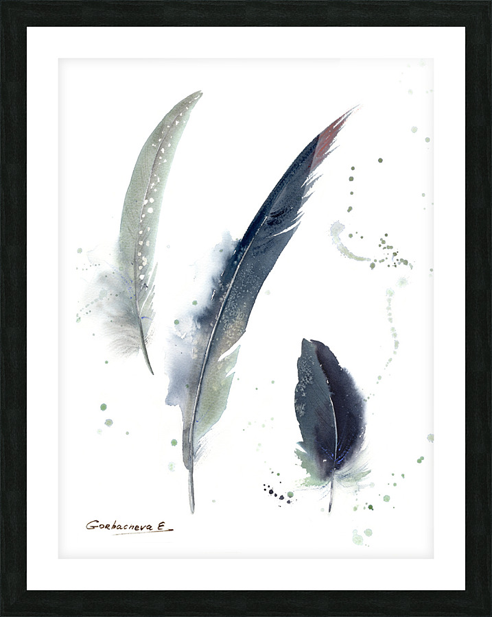 Gray Crowned-Crane feathers Picture Frame print