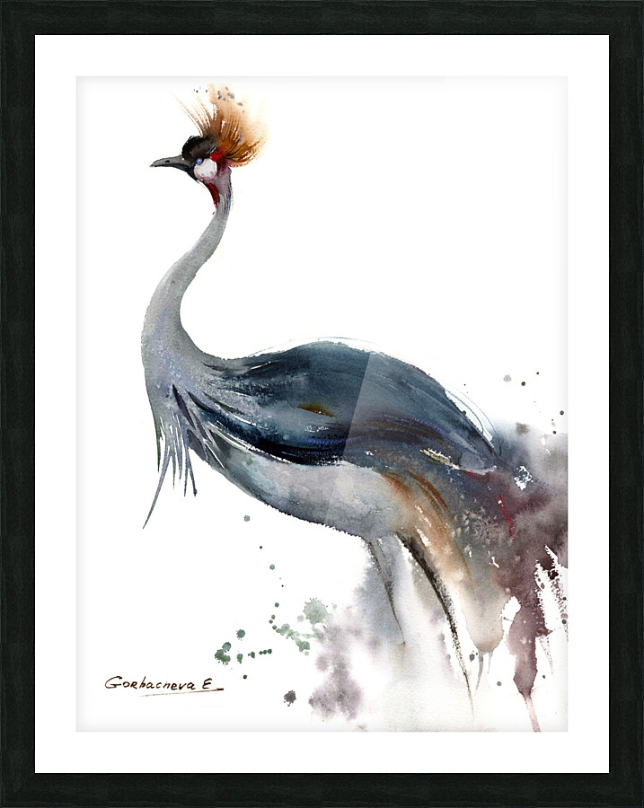 Gray Crowned-Crane Picture Frame print
