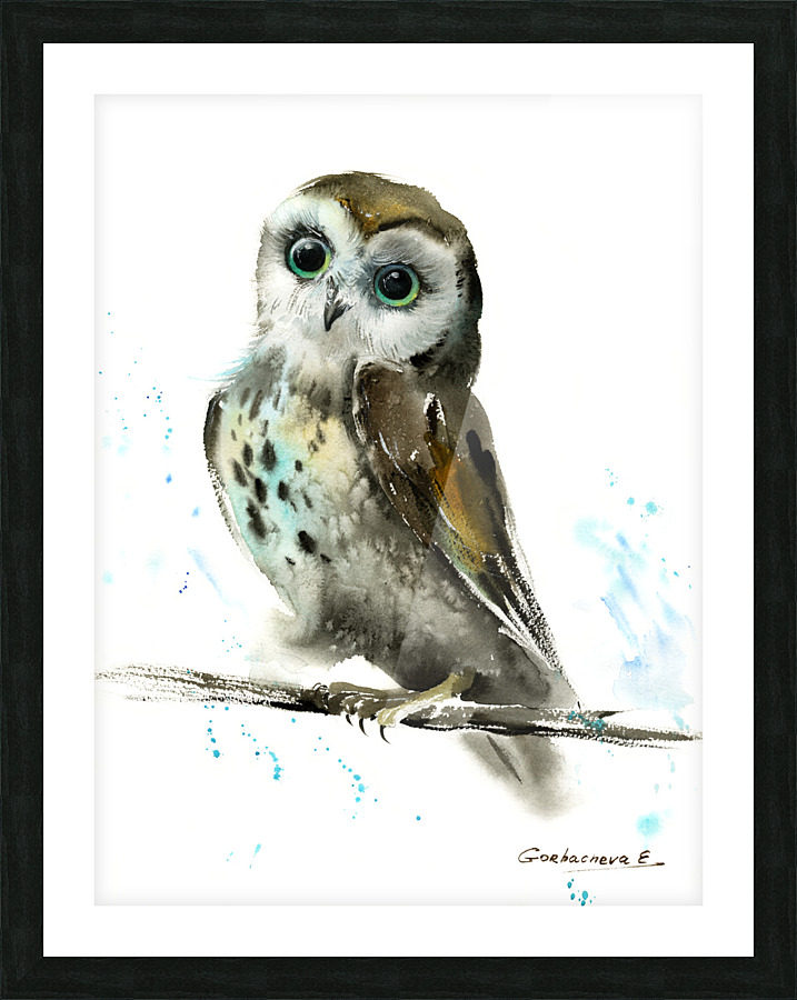Owl on a branch Picture Frame print