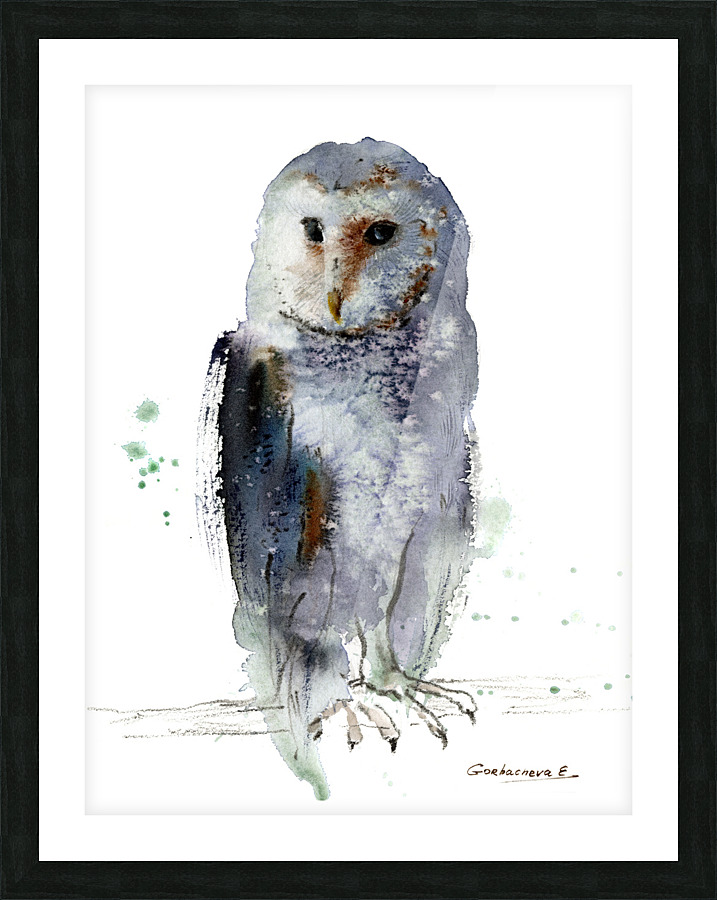 Gray owl Picture Frame print