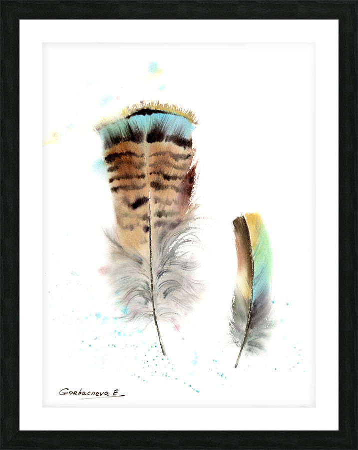 Two feathers Picture Frame print
