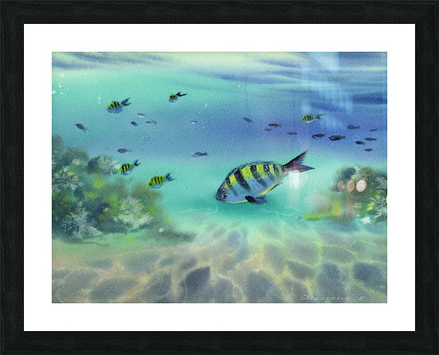 Undersea world Picture Frame print