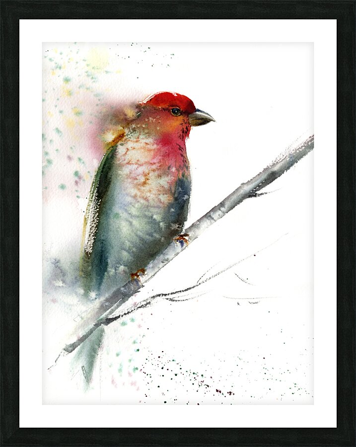 Red Grey Bird Picture Frame print