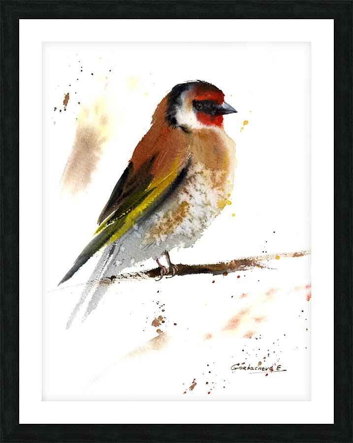 Goldfinch Bird Picture Frame print