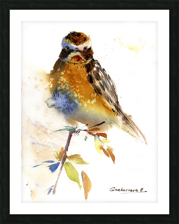 Meadow Bird Picture Frame print