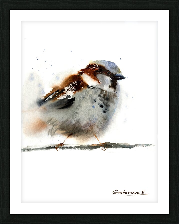 Sparrow Picture Frame print