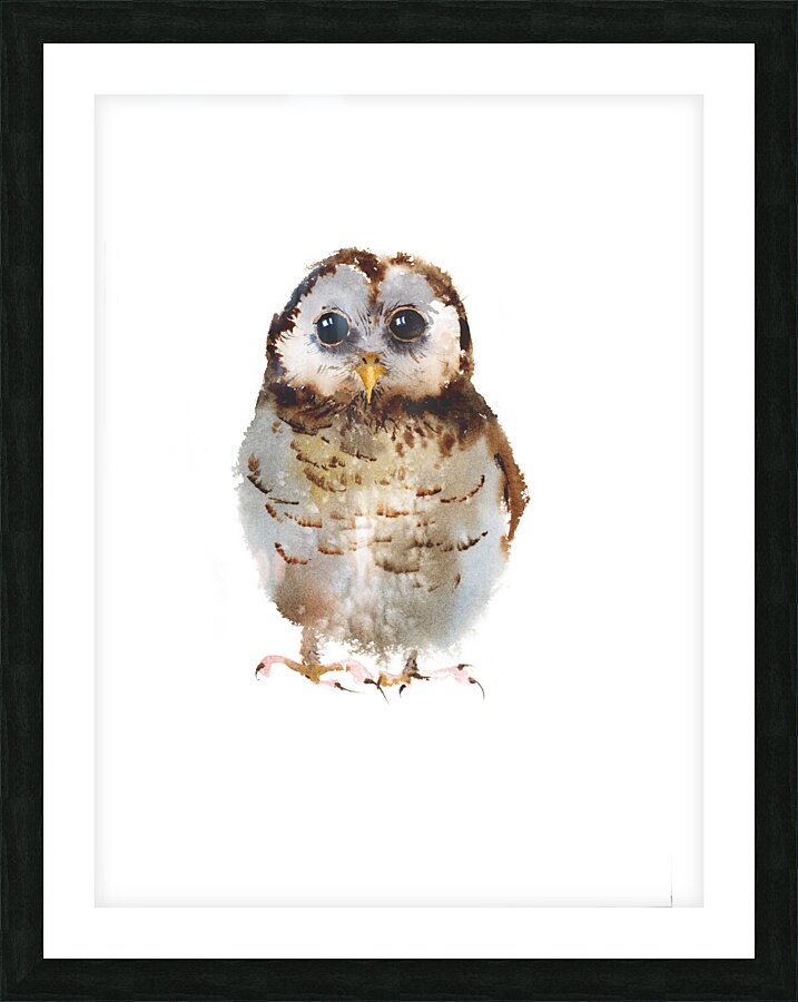 Little owl Picture Frame print