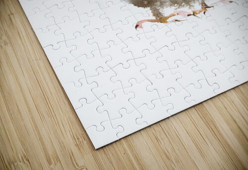 Little owl Eugenia Gorbacheva puzzle