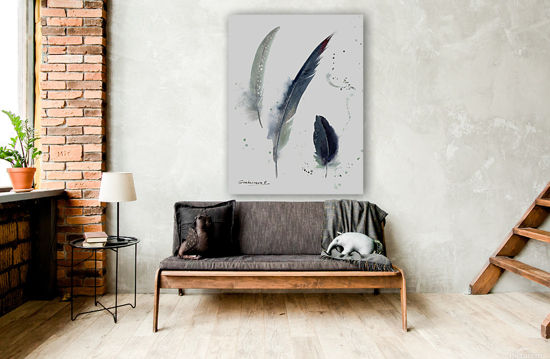 Gray Crowned-Crane feathers Reproduction