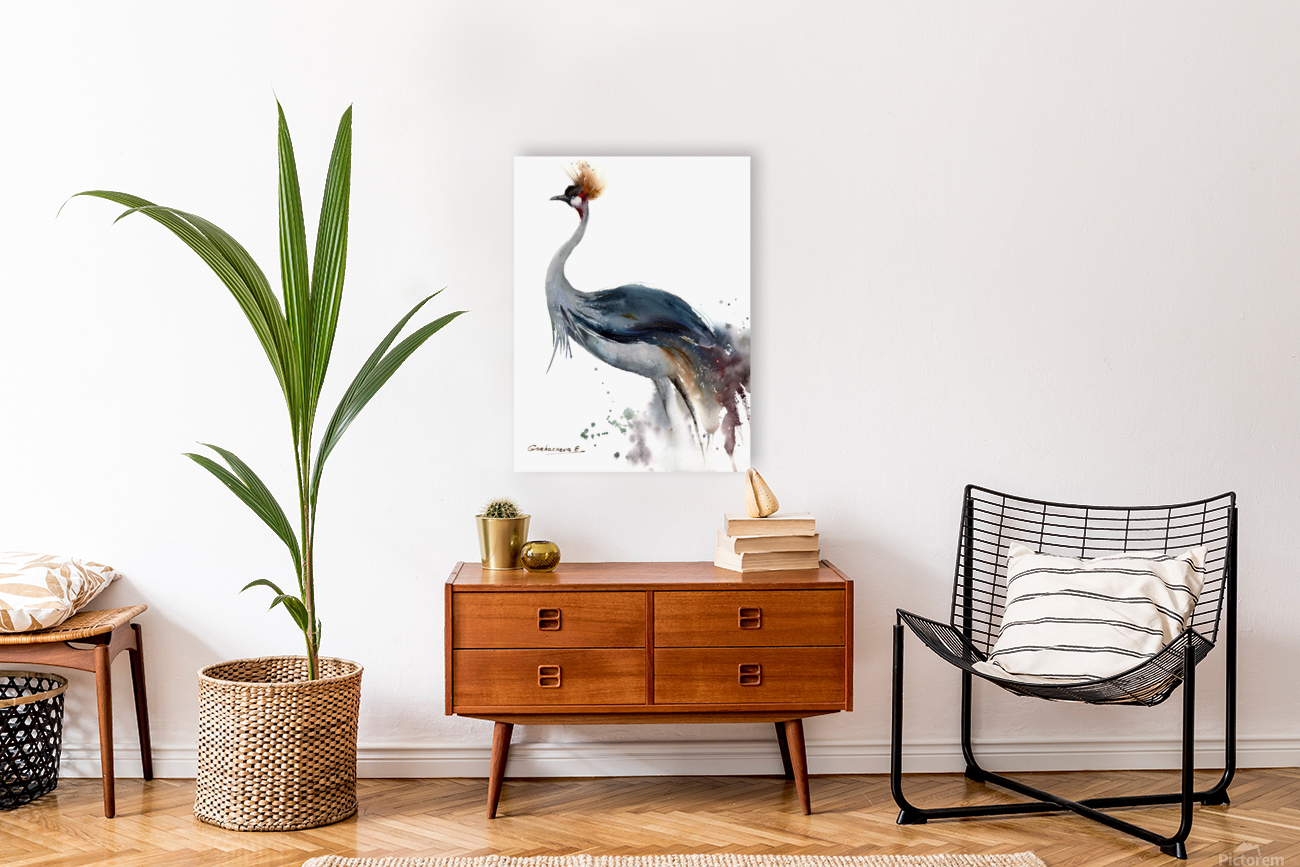 Gray Crowned-Crane Reproduction