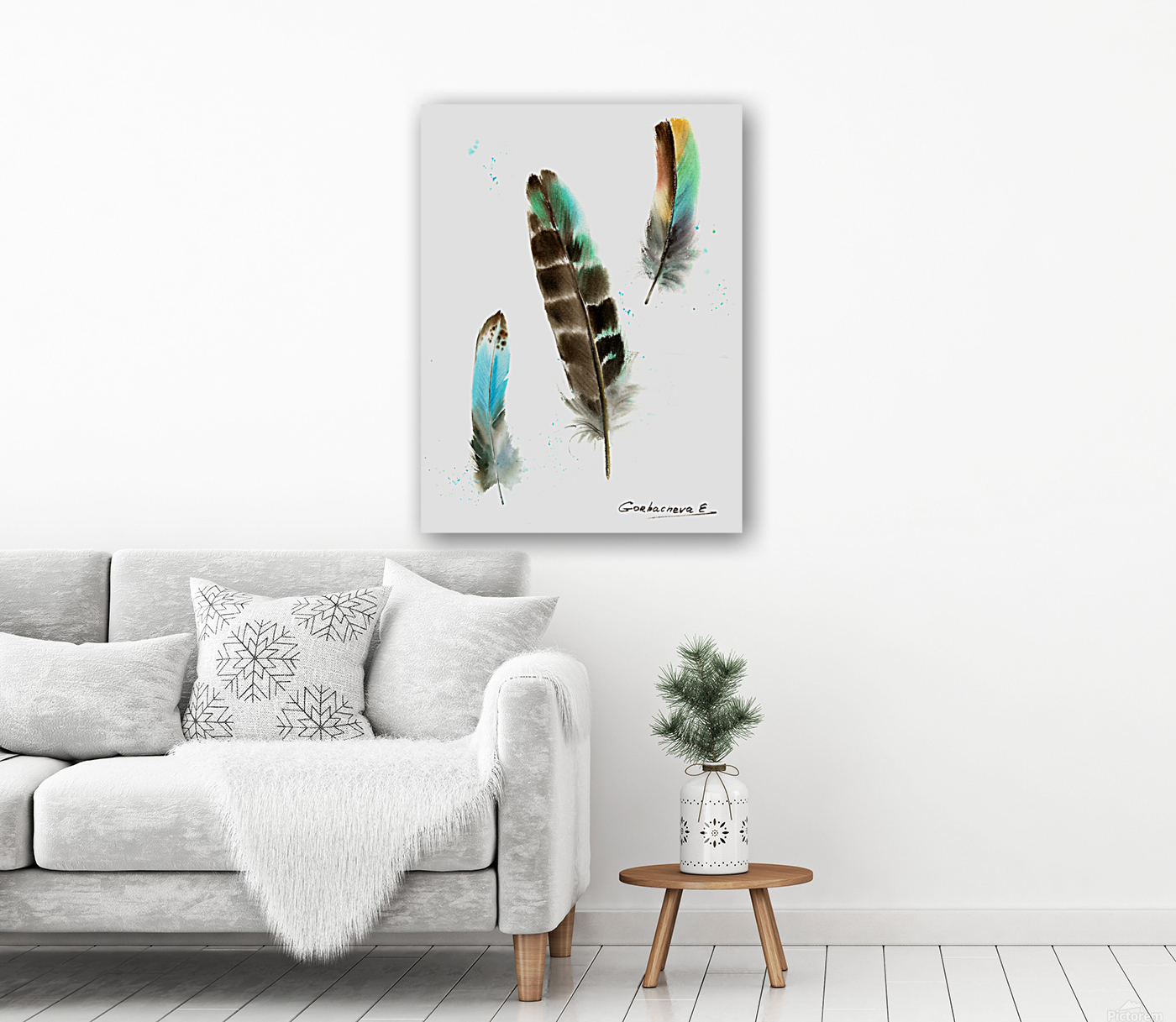 Owl feathers Reproduction