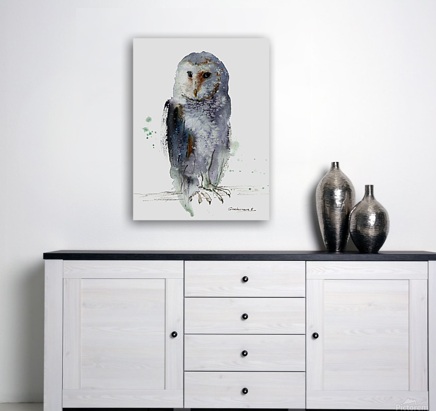 Gray owl Reproduction