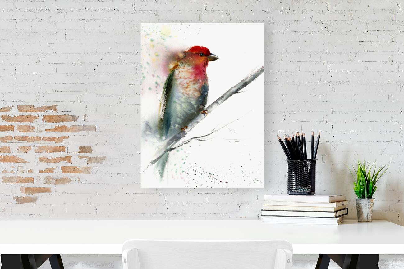 Red Grey Bird Reproduction