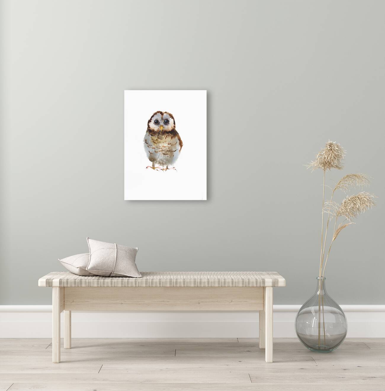 Little owl Reproduction