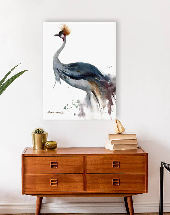 Gray Crowned-Crane Reproduction
