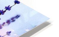 lavender Impression metal HD