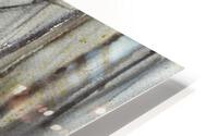 Birch Grove HD Metal print