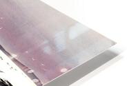 Evening pink HD Metal print