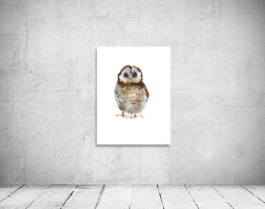 Little owl Wall Preview