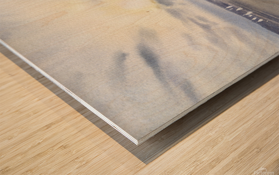 Solar path Wood print