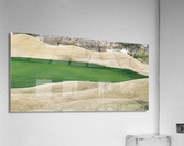Winter Golf Acrylic Print