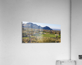 Desert Highlands 10 Acrylic Print