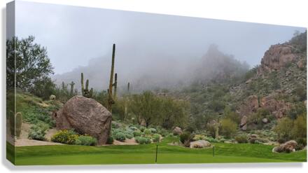 Rolling Fog Canvas Print