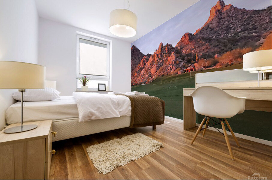 Orange Rock Mural print