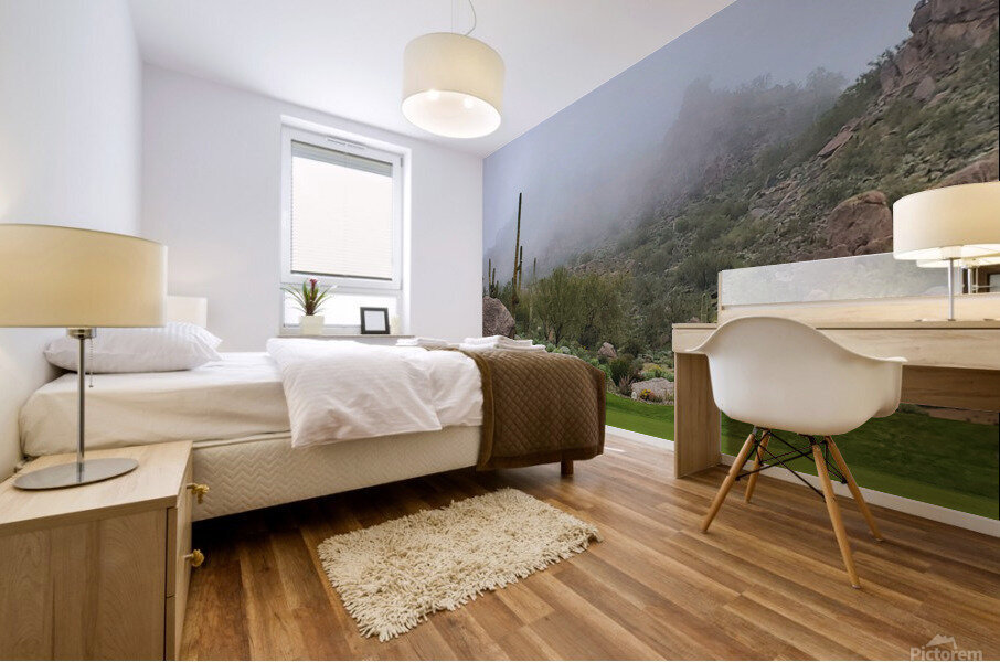 Rolling Fog Mural print