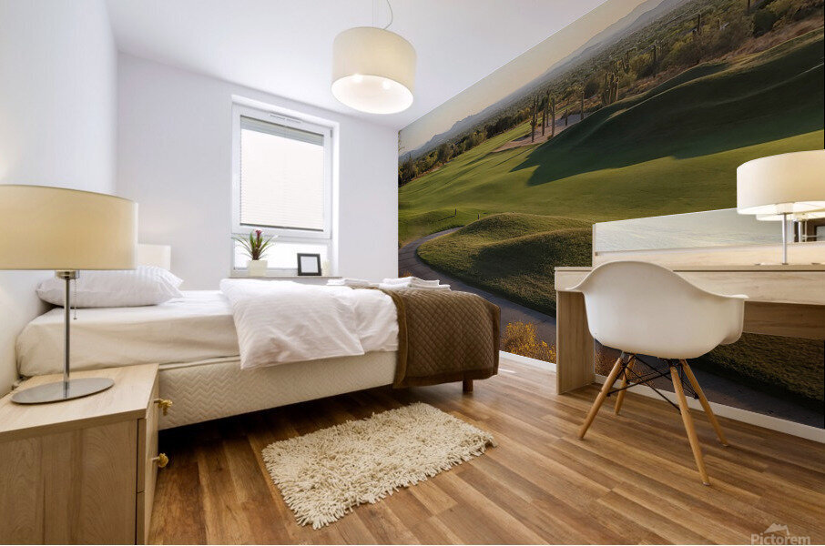 Desert Highlands 9 Mural print