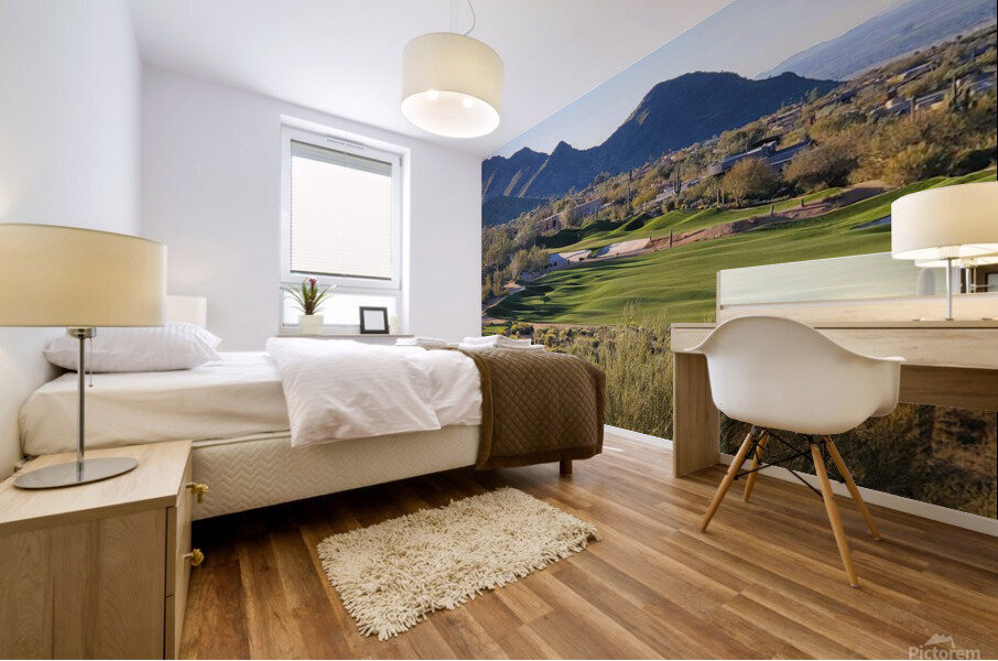 Desert Highlands 10 Mural print
