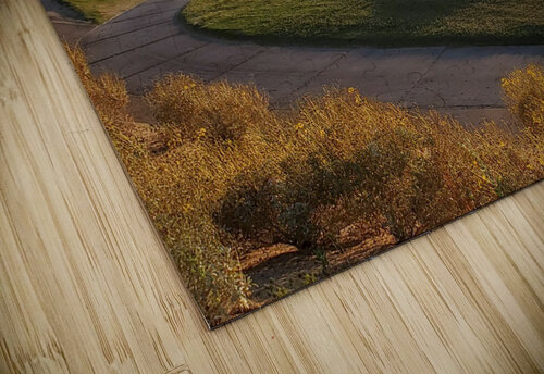 Desert Highlands 9 Brian Elliott puzzle