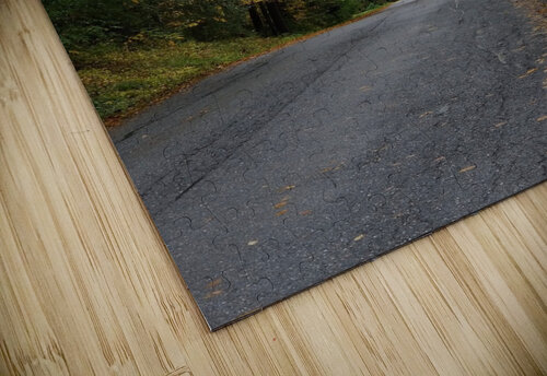 Fall Road Brian Elliott puzzle
