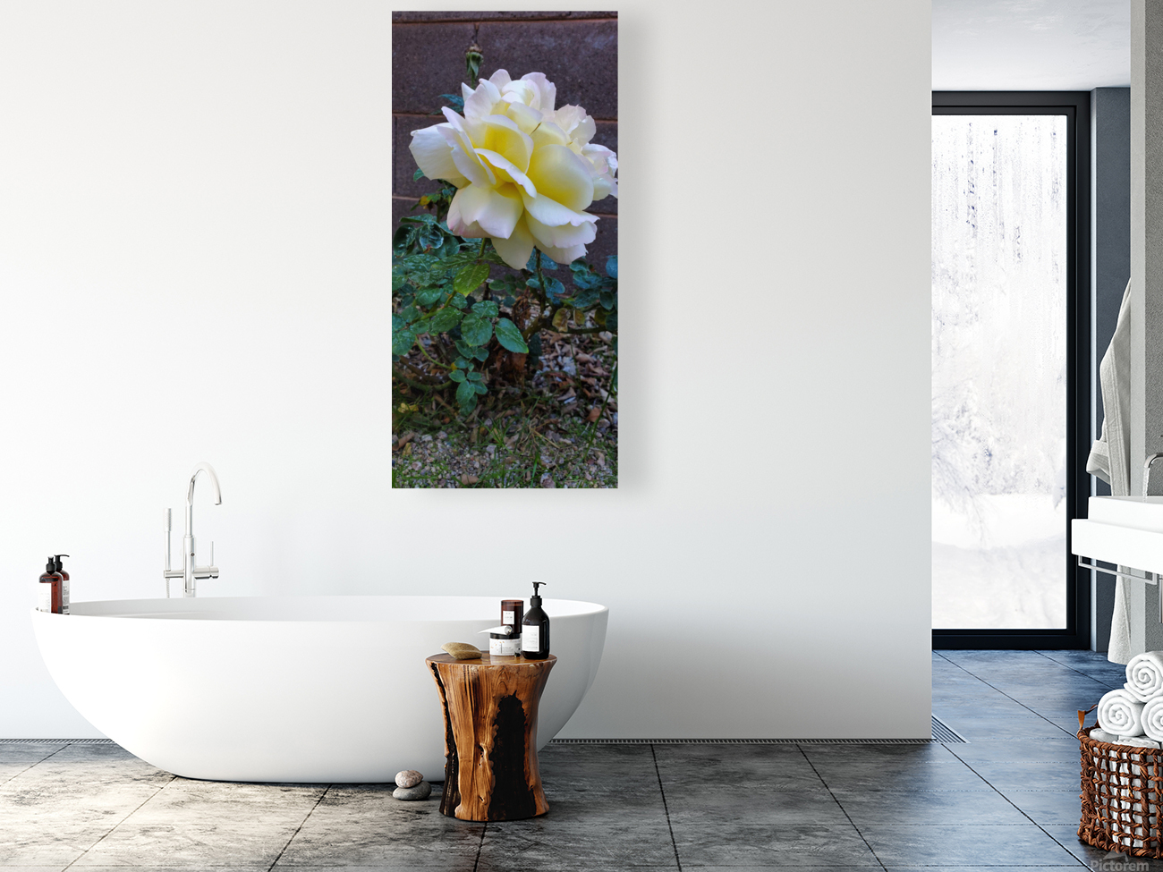 White Rose Reproduction