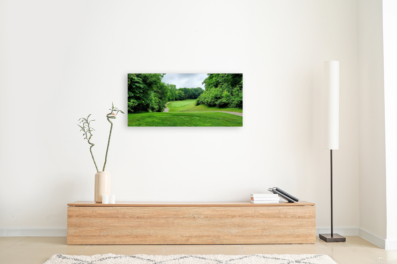 Michigan Golf Reproduction